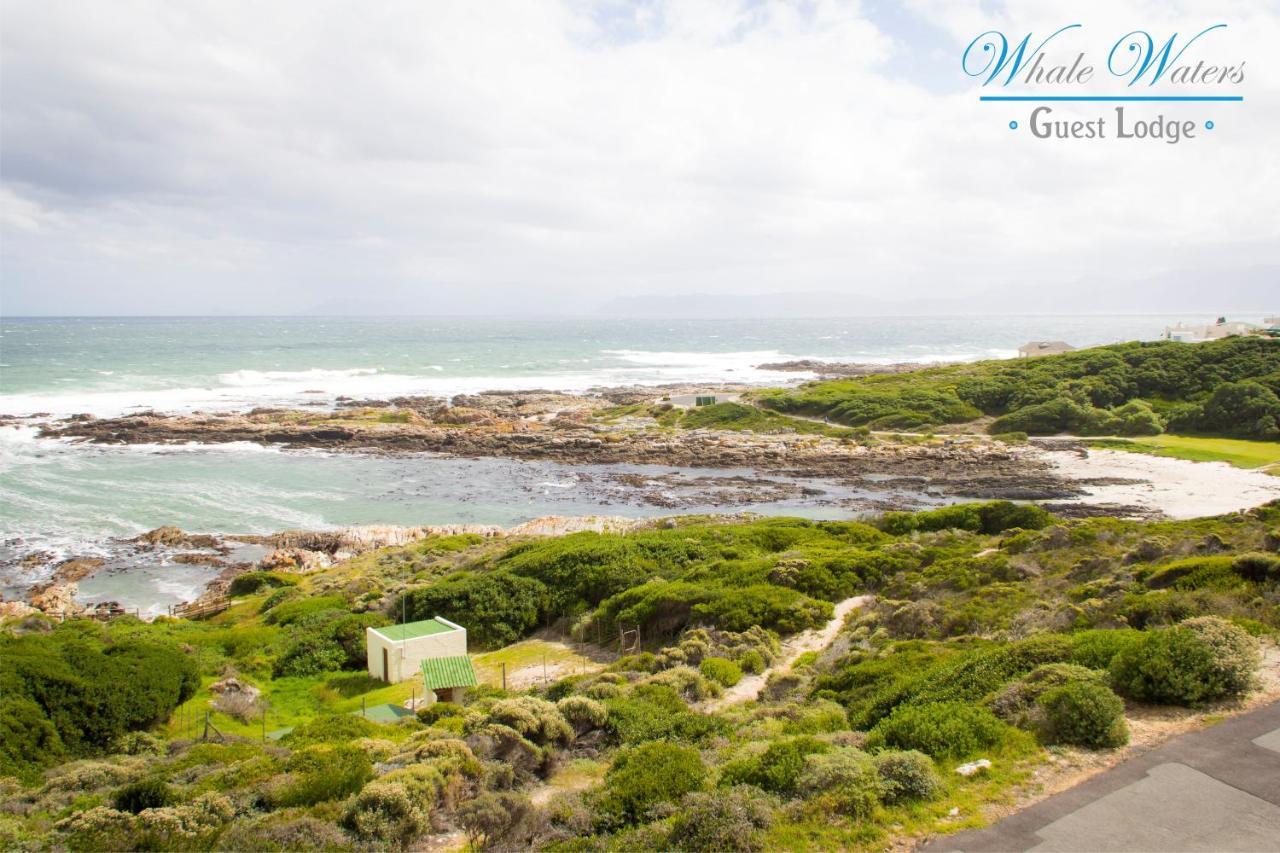 Appartamento Whale Waters Self Catering Gansbaai De Kelders Esterno foto